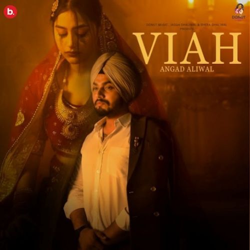 Download Viah Angad Aliwal mp3 song, Viah Angad Aliwal full album download