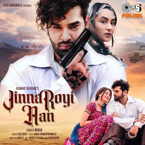 Download Jinna Royi Aan Ninja mp3 song, Jinna Royi Aan Ninja full album download