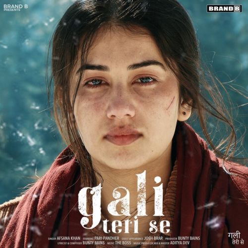 Gali Teri Se Afsana Khan mp3 song download, Gali Teri Se Afsana Khan full album