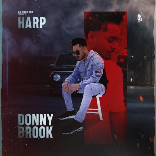 Donnybrook Harp mp3 song download, Donnybrook Harp full album