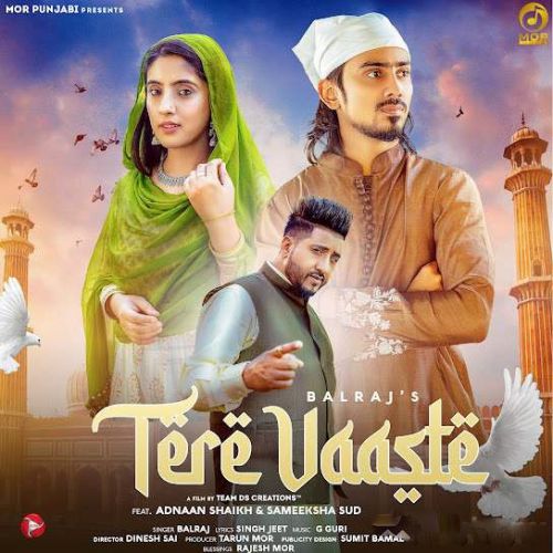 Tere Vaaste Balraj mp3 song download, Tere Vaaste Balraj full album