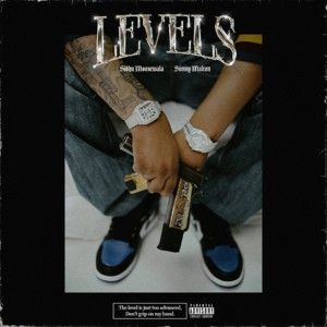 Levels Sidhu Moose Wala mp3 song download, Levels Sidhu Moose Wala full album