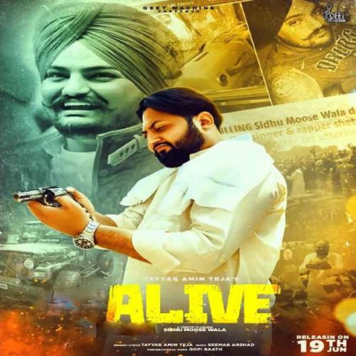 ALive Tayyab Amin Teja mp3 song download, ALive Tayyab Amin Teja full album