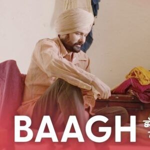 Baagh Amrinder Gill mp3 song download, Baagh Amrinder Gill full album