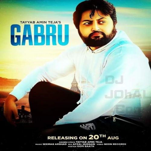 Download Gabru Tayyab Amin Teja mp3 song, Gabru Tayyab Amin Teja full album download