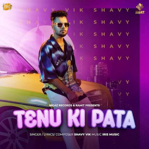 Tenu Ki Pata Shavy Vik mp3 song download, Tenu Ki Pata Shavy Vik full album