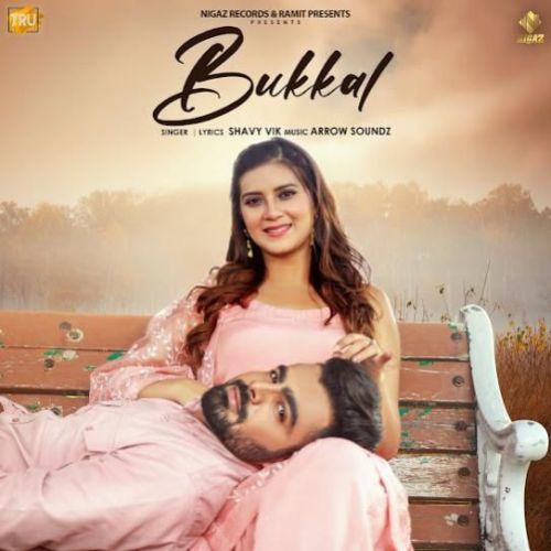 Bukkal Shavy Vik mp3 song download, Bukkal Shavy Vik full album