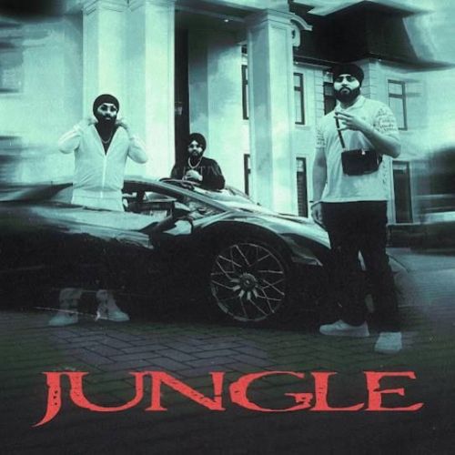 Jungle Inderpal Moga, Chani Nattan mp3 song download, Jungle Inderpal Moga, Chani Nattan full album