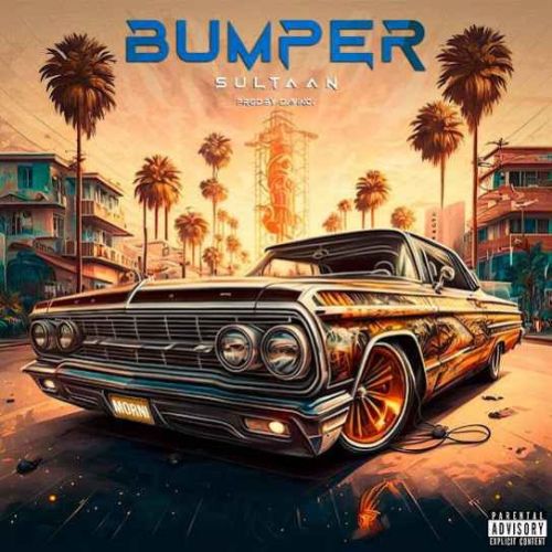 Bumper Sultaan mp3 song download, Bumper Sultaan full album