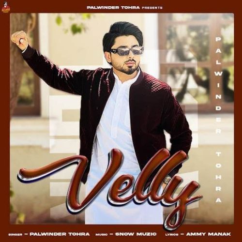 Velly Palwinder Tohra mp3 song download, Velly Palwinder Tohra full album