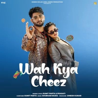 Download Wah Kya Cheez Sumit Parta, Pragati mp3 song, Wah Kya Cheez Sumit Parta, Pragati full album download