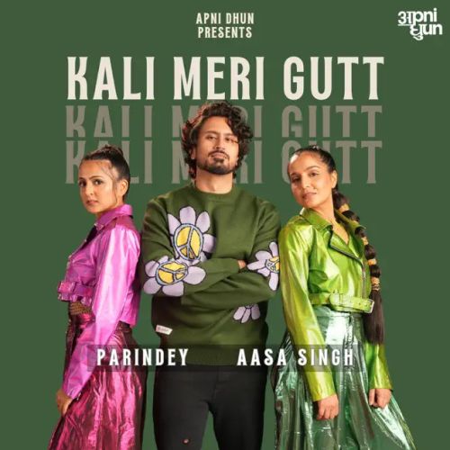 Kali Meri Gutt Parindey, Aasa Singh mp3 song download, Kali Meri Gutt Parindey, Aasa Singh full album