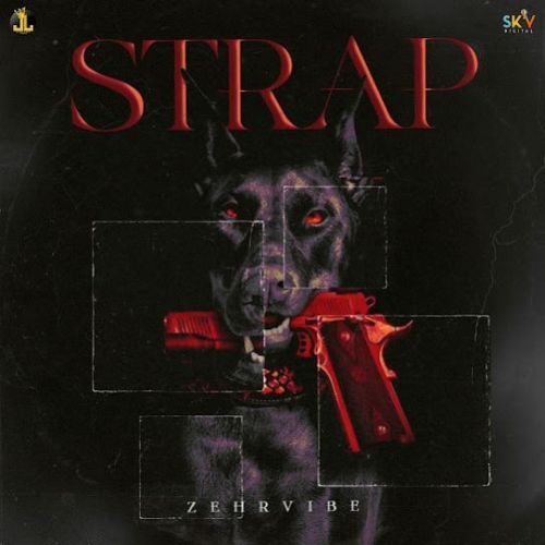 Download STRAP Zehr Vibe mp3 song, STRAP Zehr Vibe full album download