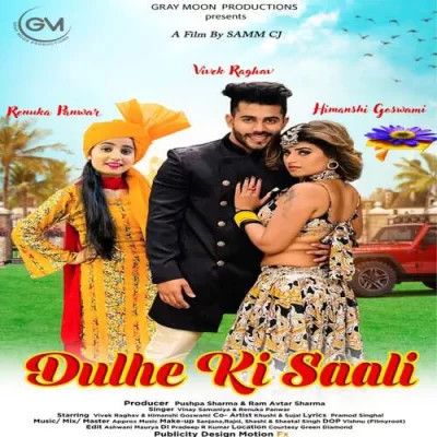 Dulhe ki Saali Renuka Panwar, Vinay Samaniya mp3 song download, Dulhe ki Saali Renuka Panwar, Vinay Samaniya full album