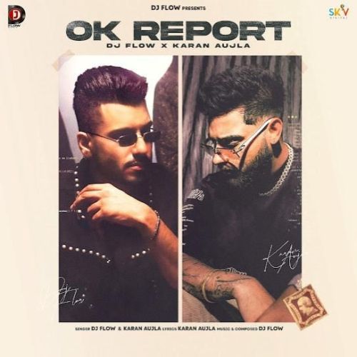 Ok Report DJ Flow mp3 song download, Ok Report DJ Flow full album