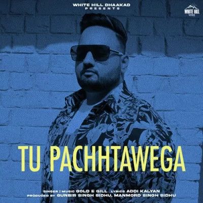 Tu Pachhtawega Gold E Gill mp3 song download, Tu Pachhtawega Gold E Gill full album