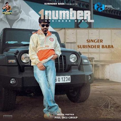 1 Number Surinder Baba mp3 song download, 1 Number Surinder Baba full album