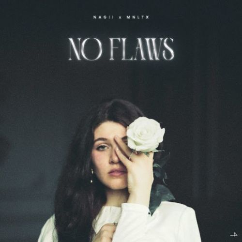 No Flaws Nagii mp3 song download, No Flaws Nagii full album