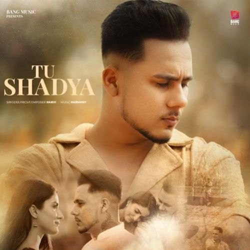 Download Tu Shadya Harvi mp3 song, Tu Shadya Harvi full album download