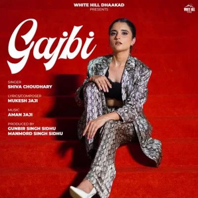 Download Gajbi Shiva Choudhary mp3 song, Gajbi Shiva Choudhary full album download