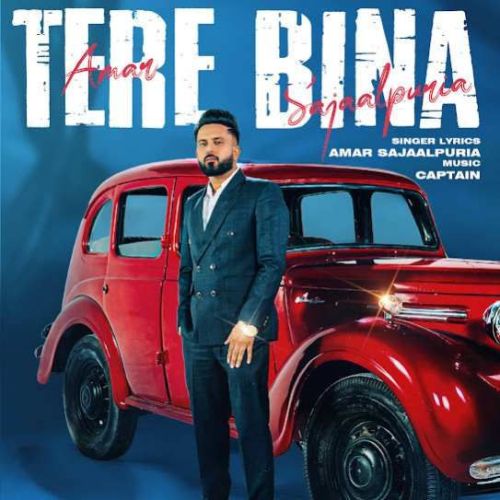 Tere Bina Amar Sajaalpuria mp3 song download, Tere Bina Amar Sajaalpuria full album