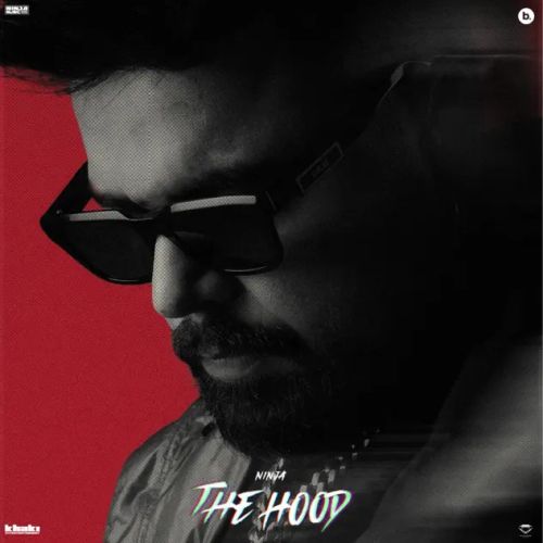 Khabi Khan Ninja mp3 song download, The Hood Ninja full album