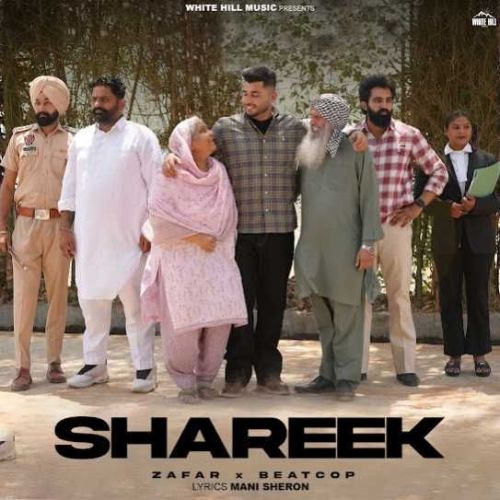 Shareek Zafar mp3 song download, Shareek Zafar full album