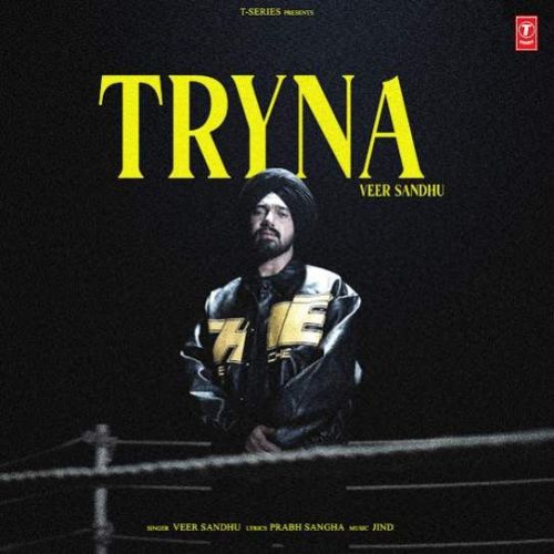 Download Tryna Veer Sandhu mp3 song, Tryna Veer Sandhu full album download