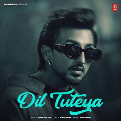 Dil Tuteya Tippu Sultan mp3 song download, Dil Tuteya Tippu Sultan full album