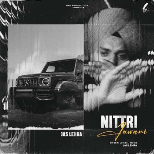 Nittri Jawani Jas Lehra mp3 song download, Nittri Jawani Jas Lehra full album