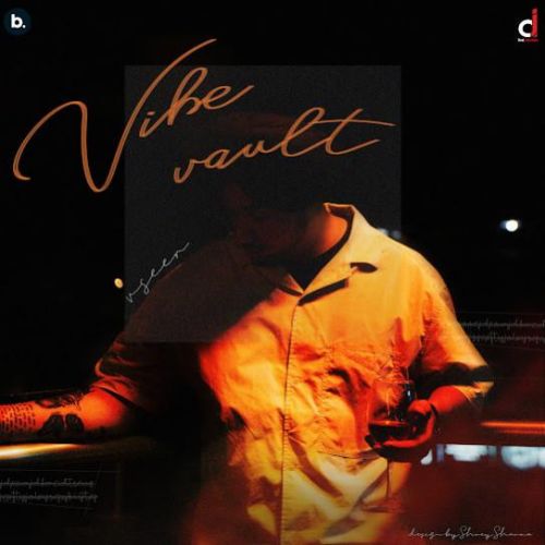 Download 2 Number Vseer mp3 song, Vibe Vault Vseer full album download