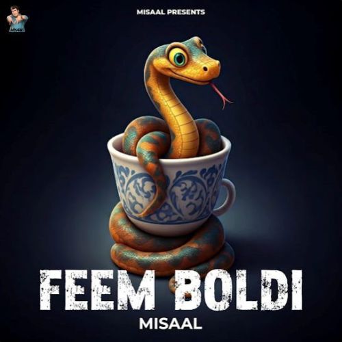 Feem Boldi Misaal mp3 song download, Feem Boldi Misaal full album