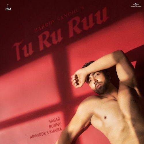 Tu Ru Ruu Harrdy Sandhu mp3 song download, Tu Ru Ruu Harrdy Sandhu full album