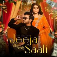 Jeeja Saali Jigar mp3 song download, Jeeja Saali Jigar full album