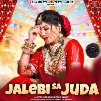 Jalebi Sa Juda Swara Verma mp3 song download, Jalebi Sa Juda Swara Verma full album