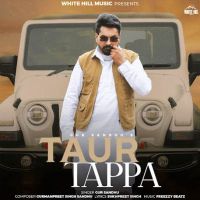 Taur Tappa Gur Sandhu mp3 song download, Taur Tappa Gur Sandhu full album