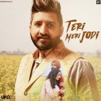 Download Teri Meri Jodi Balraj mp3 song, Teri Meri Jodi Balraj full album download