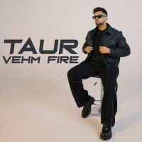 Taur Vehm Fire Armaan Bhullar mp3 song download, Taur Vehm Fire Armaan Bhullar full album