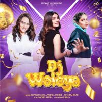 DJ Waleya Mannat Noor mp3 song download, DJ Waleya Mannat Noor full album