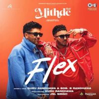 Flex Guru Randhawa mp3 song download, Flex Guru Randhawa full album