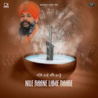 Nile Baane Lame Daare Manjit Singh Sohi mp3 song download, Nile Baane Lame Daare Manjit Singh Sohi full album