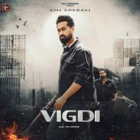 Download Vigdi Gill Gogoani mp3 song, Vigdi Gill Gogoani full album download