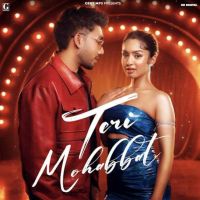 Download Teri Mohabbat Musahib mp3 song, Teri Mohabbat Musahib full album download