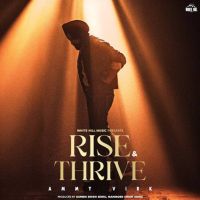 Anakh Ammy Virk mp3 song download, Rise & Thrive Ammy Virk full album