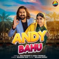 Andy Bahu Raj Mawer, Ashu Twinkle mp3 song download, Andy Bahu Raj Mawer, Ashu Twinkle full album