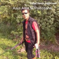 Aaja Aaja Ni Padosana Surinder Aggarwal mp3 song download, Aaja Aaja Ni Padosana Surinder Aggarwal full album