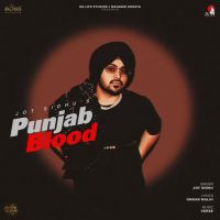 Punjab Blood Jot Sidhu mp3 song download, Punjab Blood Jot Sidhu full album