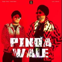 Pinda Wale Turban Beats mp3 song download, Pinda Wale Turban Beats full album