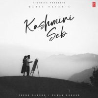 Kashmiri Seb Wazir Patar mp3 song download, Kashmiri Seb Wazir Patar full album