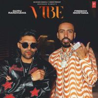 Vibe Guru Randhawa mp3 song download, Vibe Guru Randhawa full album